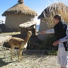 Bolivian Adventure